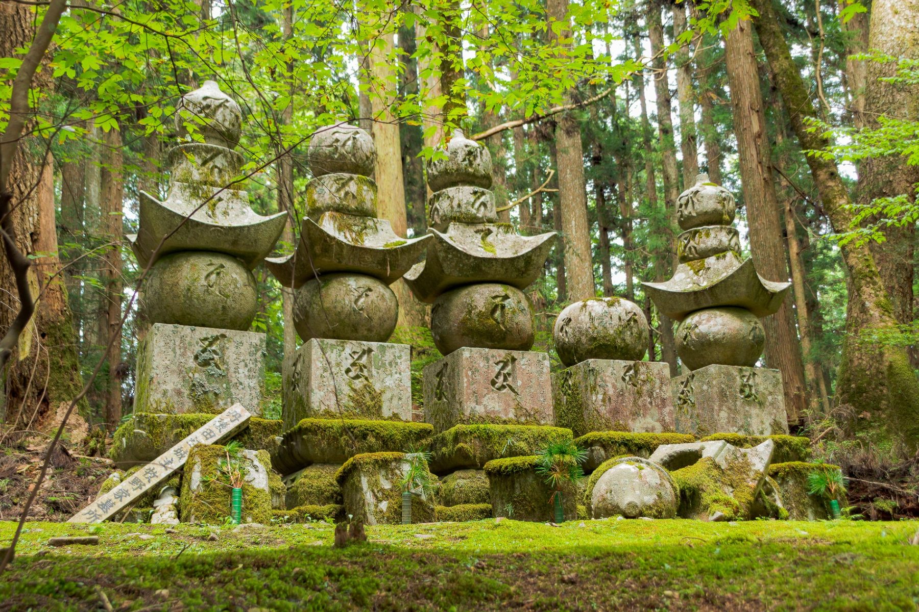 Okuno-in, Koyasan, Japon — collection Japon — Au cœur du cimetière Okunoin — tirage d'art photographique en édition limitée par Sébastien Pontico